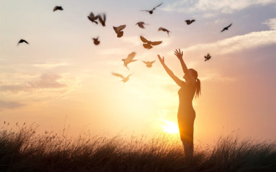 Her Prosperity Miracle, A Change in Perception