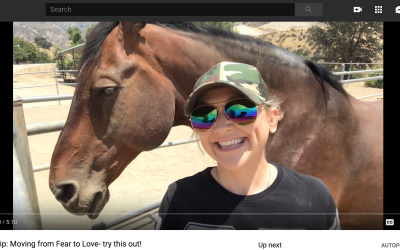 Success Tip: Moving from Fear to Love- try this out!